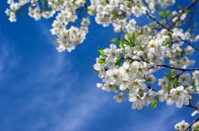 График работы в майские праздники
